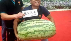 东明县吃瓜爆料,揭秘当地热点事件背后的真相